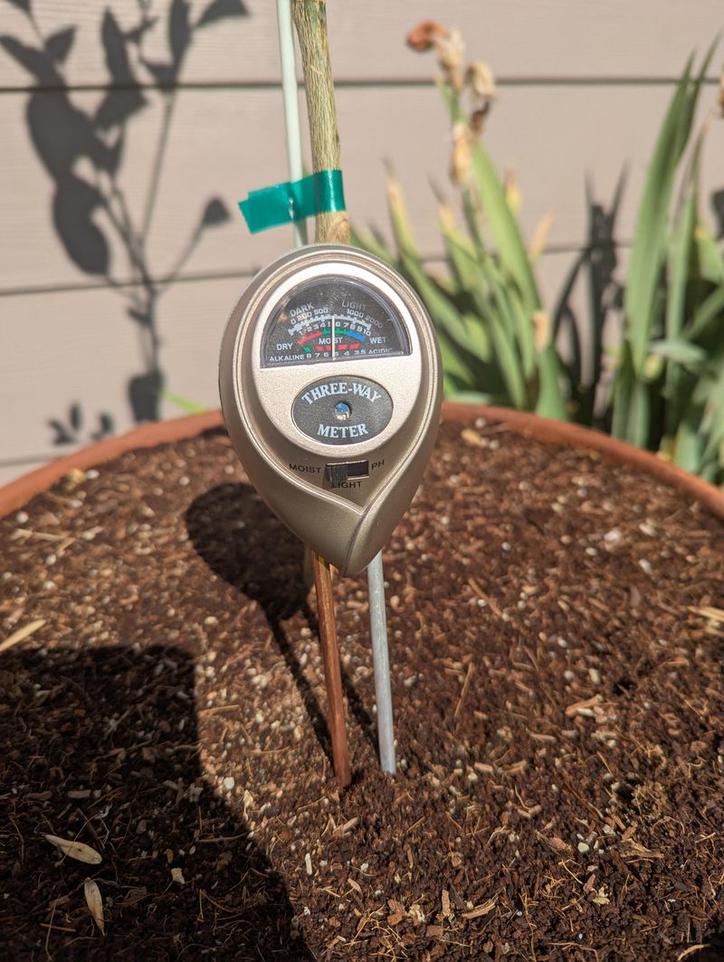 Check Soil Moisture Before Adding More Water