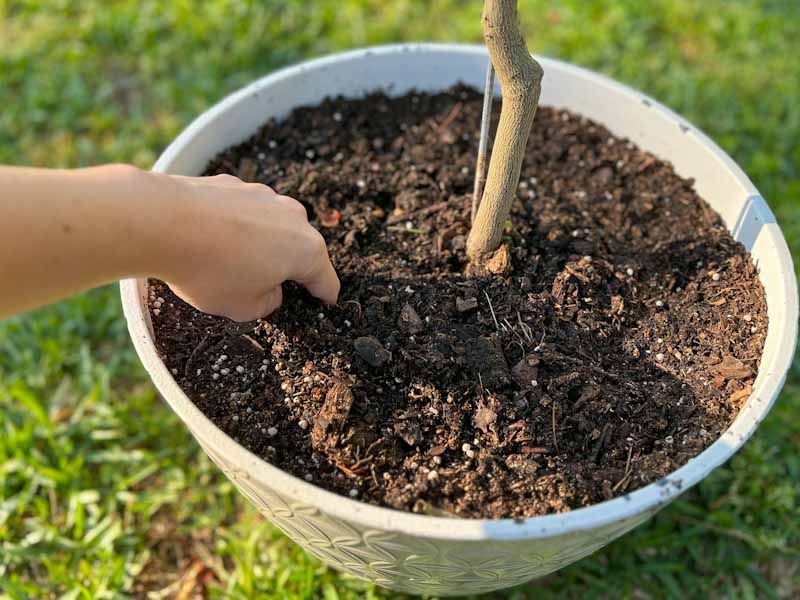 Check Soil Moisture Before Running Irrigation Check Soil Moisture Before Running Irrigation