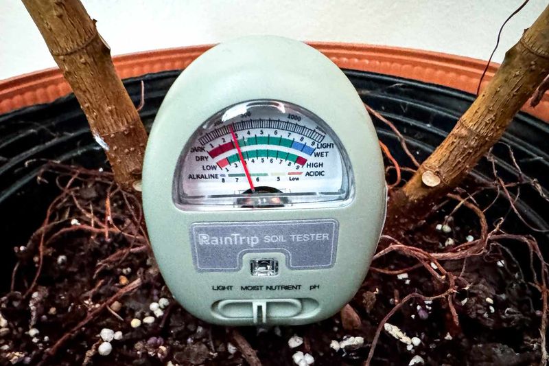 Check Soil Moisture Before Stress Sets In