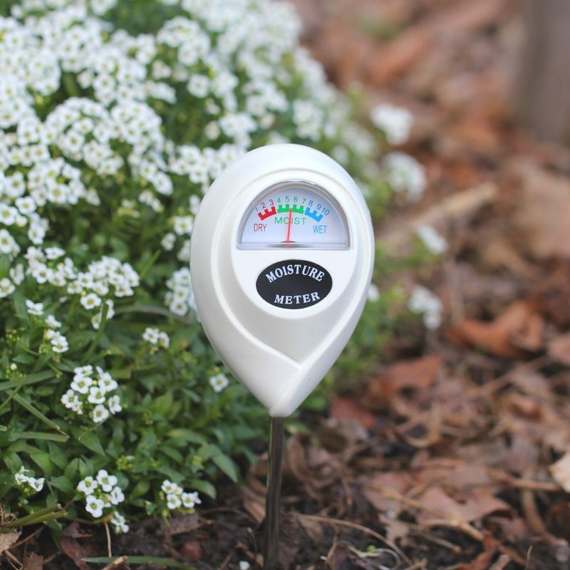 Check Soil Moisture Below The Surface