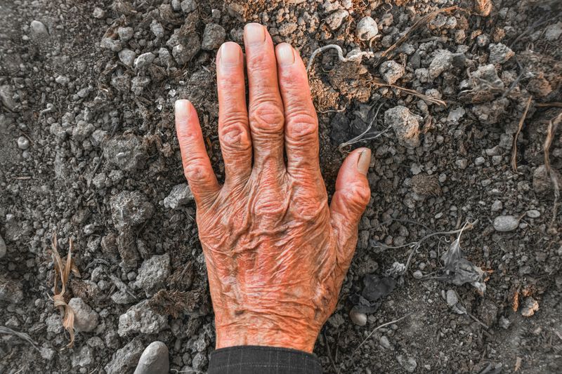 Check Soil Moisture With Your Finger Before Watering