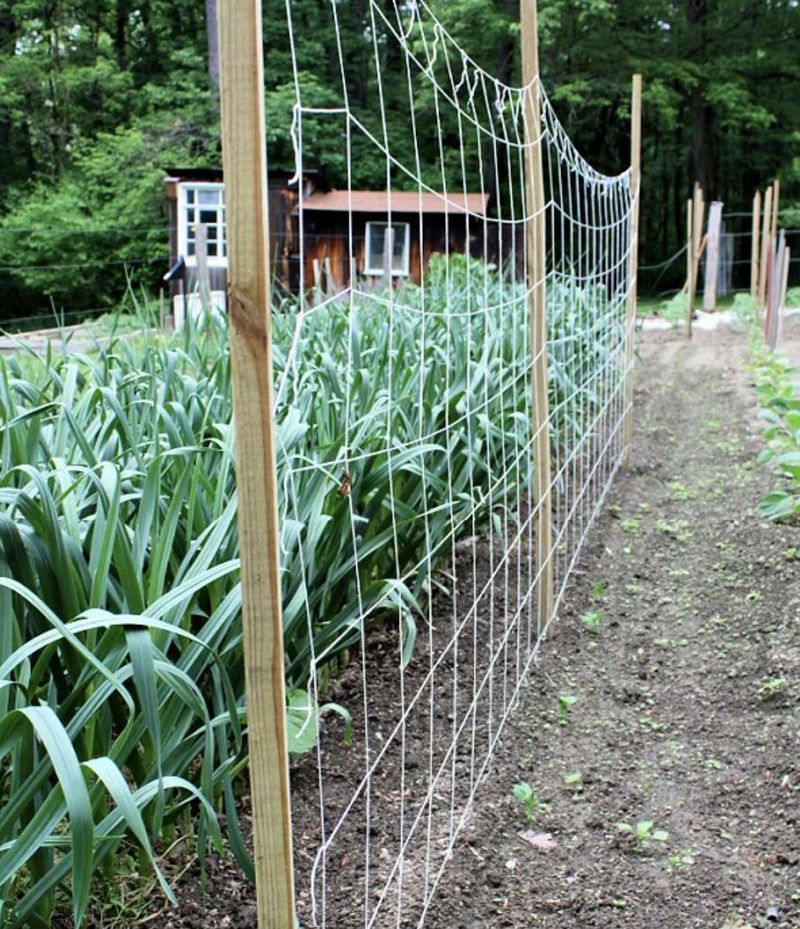 Check Stability After Summer Storms