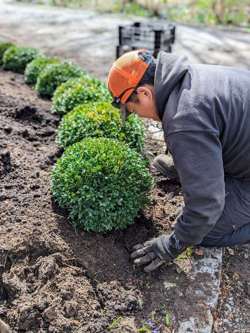 Check The Soil Before Summer Heat Builds