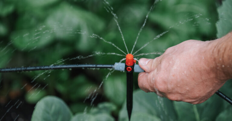 irrigation (featured image)