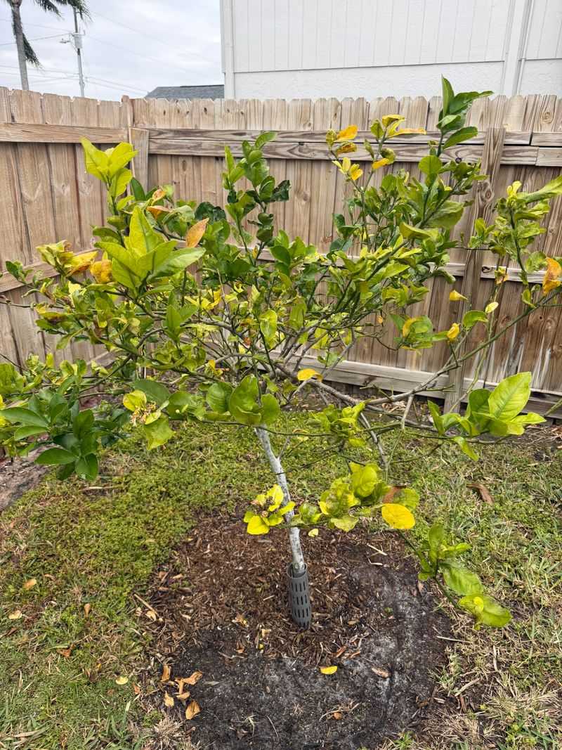 Check Whether Rain Has Changed Your Watering