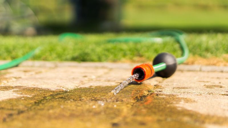 Check Your Local One-Day Watering Rules First Check Your Local One-Day Watering Rules First