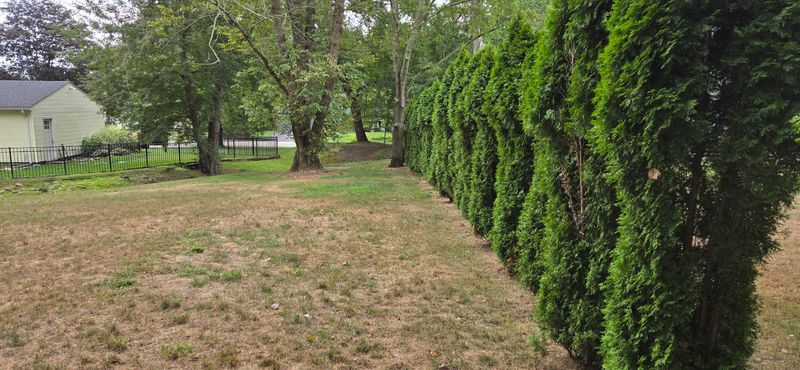 Check Your Property Line Before You Plant