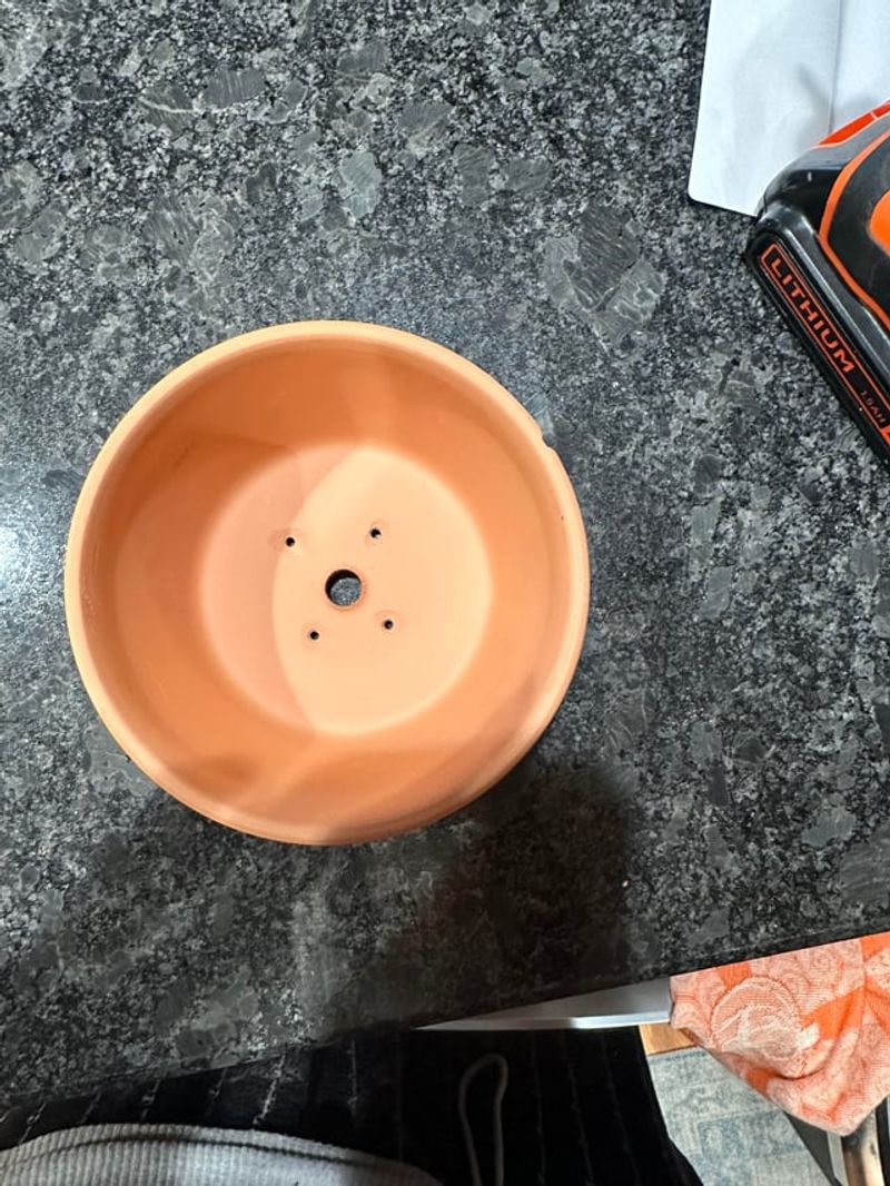 Choose A Pot With Real Drainage Holes