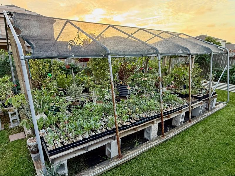 Choose A Shade Cloth With The Right Shade Percentage