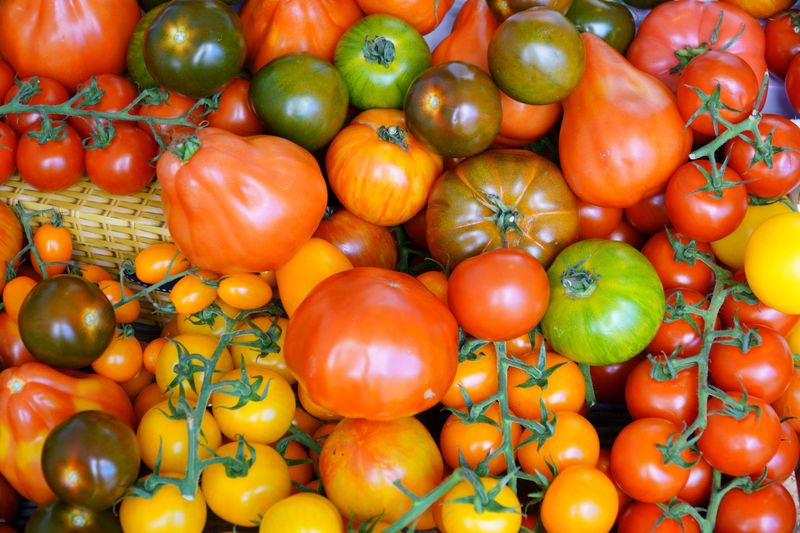 Choose Disease-Resistant Tomato Varieties Choose Disease-Resistant Tomato Varieties