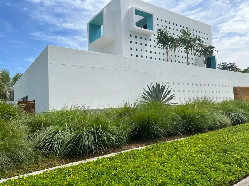Choose Dwarf Fakahatchee Grass For Clean Front Yard Structure Choose Dwarf Fakahatchee Grass For Clean Front Yard Structure
