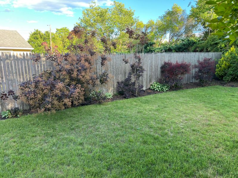 Choose Plants You Can Maintain From Your Yard