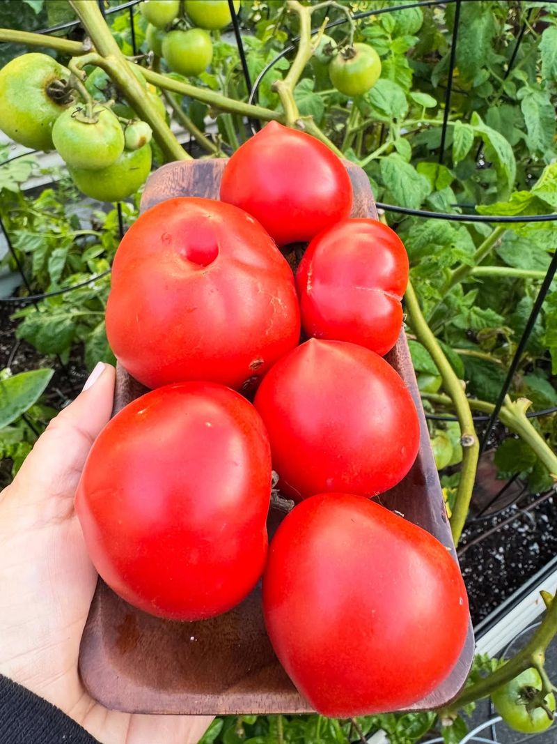 Choose Productive Michigan-Friendly Varieties Choose Productive Michigan-Friendly Varieties