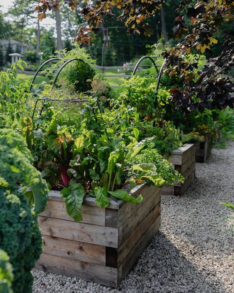 Choose Raised Beds For High-Risk Crops Choose Raised Beds For High-Risk Crops