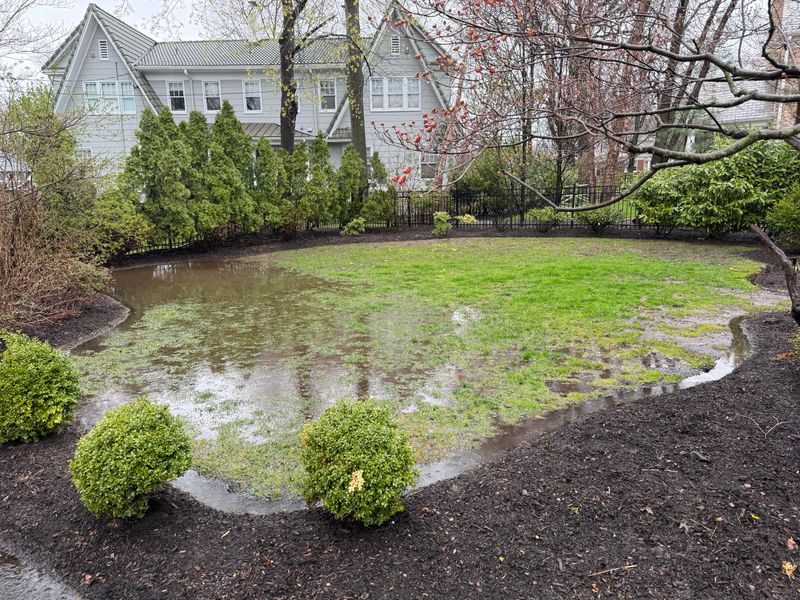 Choosing A Spot Where Water Pools After Rain