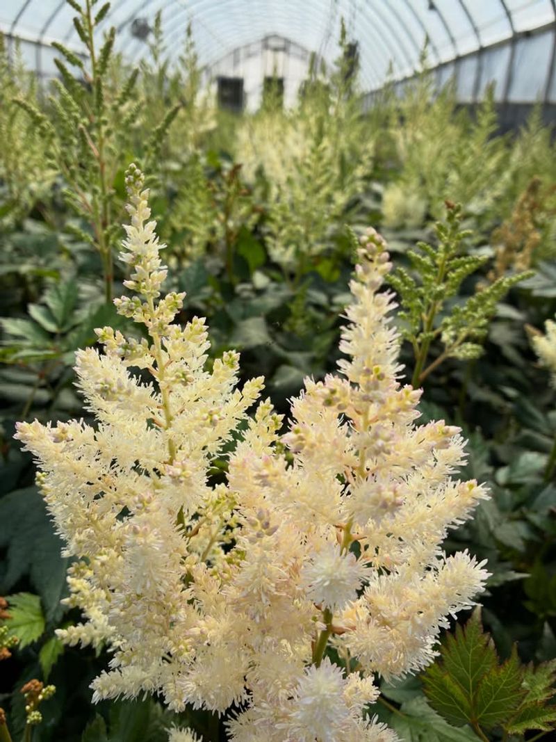 Choosing Moisture-Retentive Garden Locations Choosing Moisture-Retentive Garden Locations