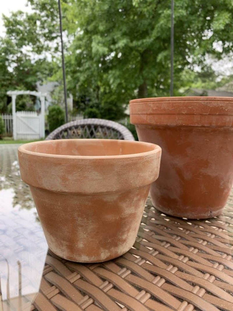 Choosing The Right Pot Choosing The Right Pot