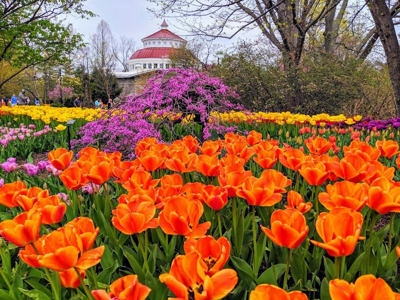 Cincinnati Zoo And Botanical Garden Turns Vine Street Into A Full-Day Plant Lover's Stop Cincinnati Zoo And Botanical Garden Turns Vine Street Into A Full-Day Plant Lover's Stop