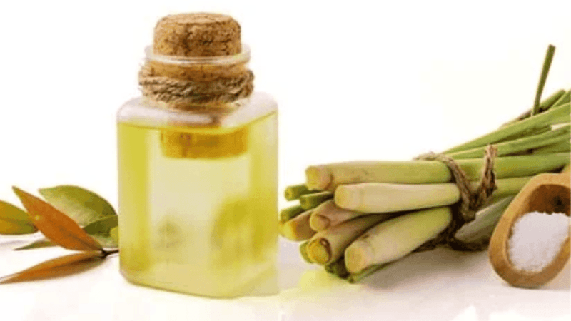 Citronella Oil In Labeled Repellent Products