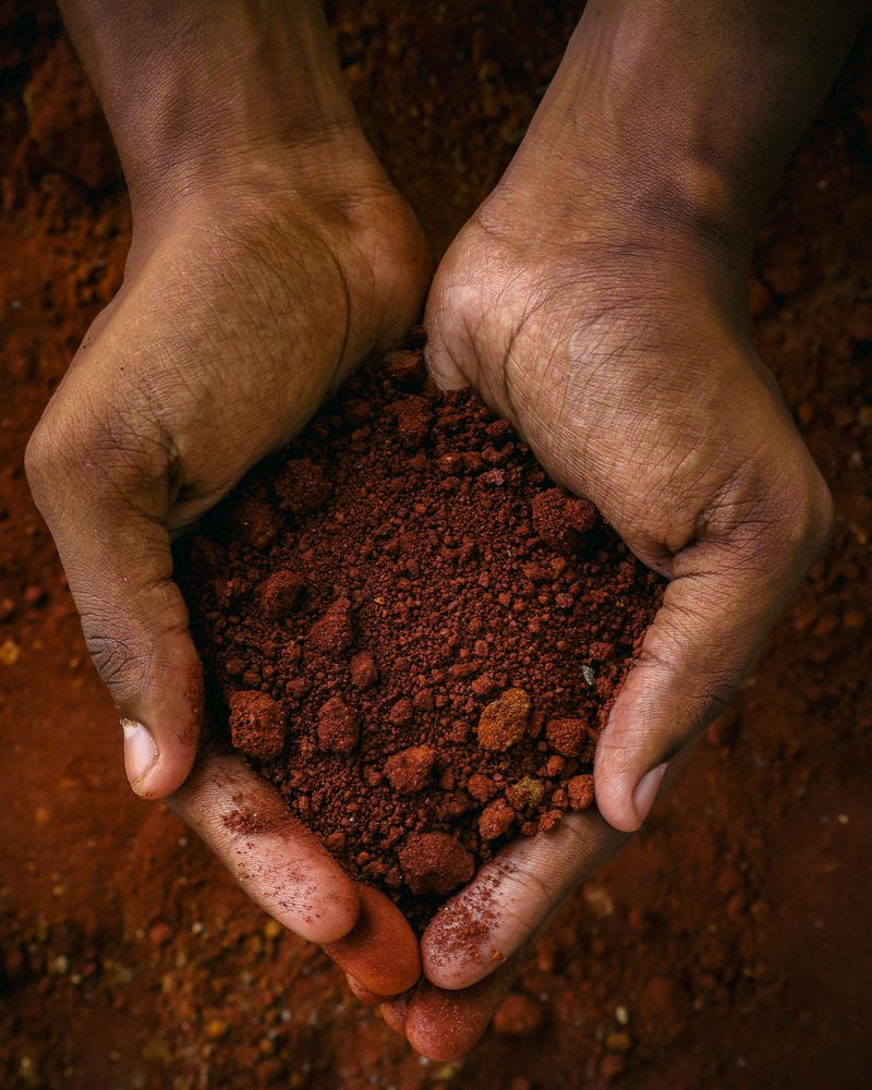 Clay-Heavy Tennessee Soils Hold Water And Keep Fungi Thriving