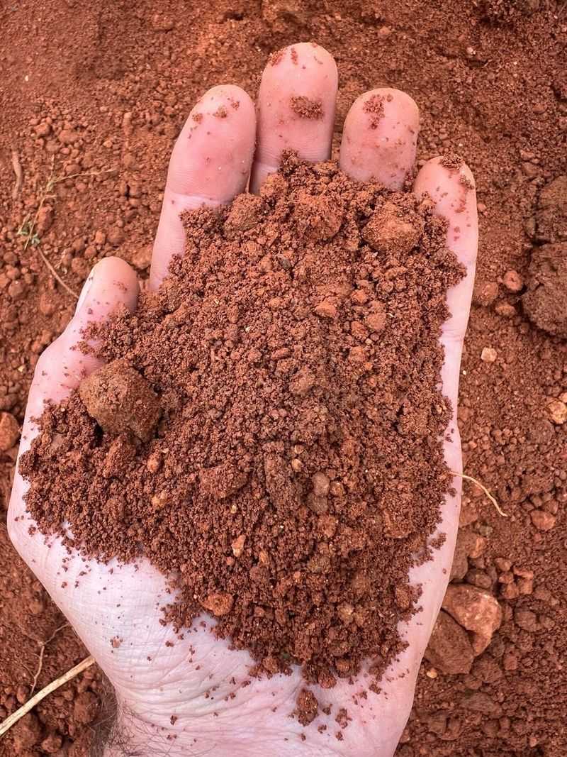 Clay Soil Holds Moisture Longer Between Summer Waterings Clay Soil Holds Moisture Longer Between Summer Waterings