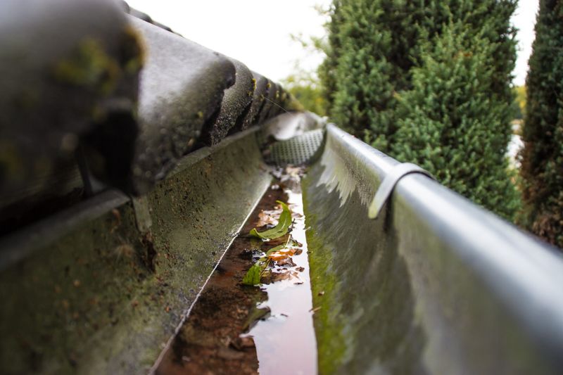 Clean Gutters Before Rainwater Starts Collecting
