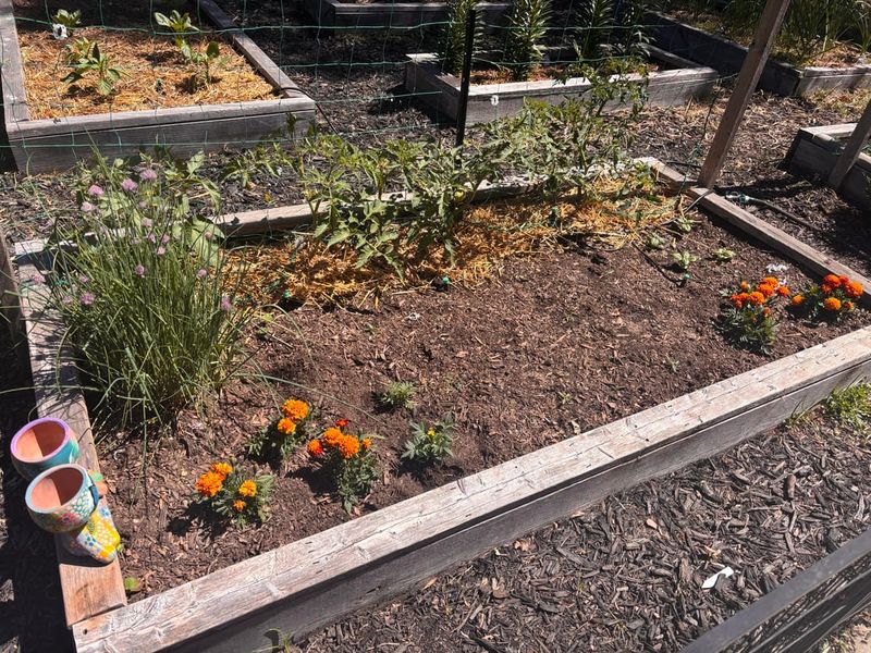 Clear Debris From Around Your Beds Before It Becomes A Hazard