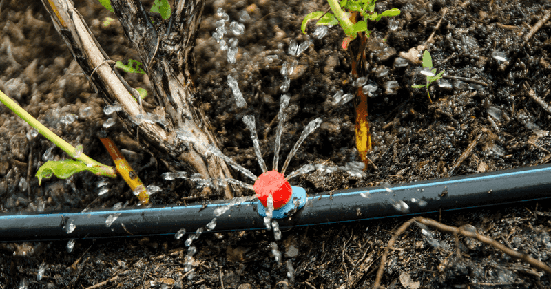 Clear Debris From Emitters After Heavy Storms