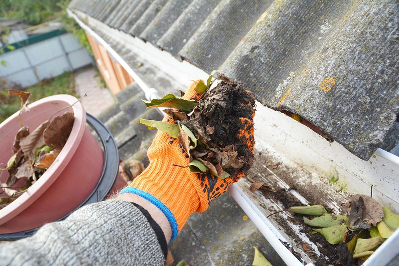Clear Dry Leaves From Gutters, Steps, And Corners Clear Dry Leaves From Gutters, Steps, And Corners