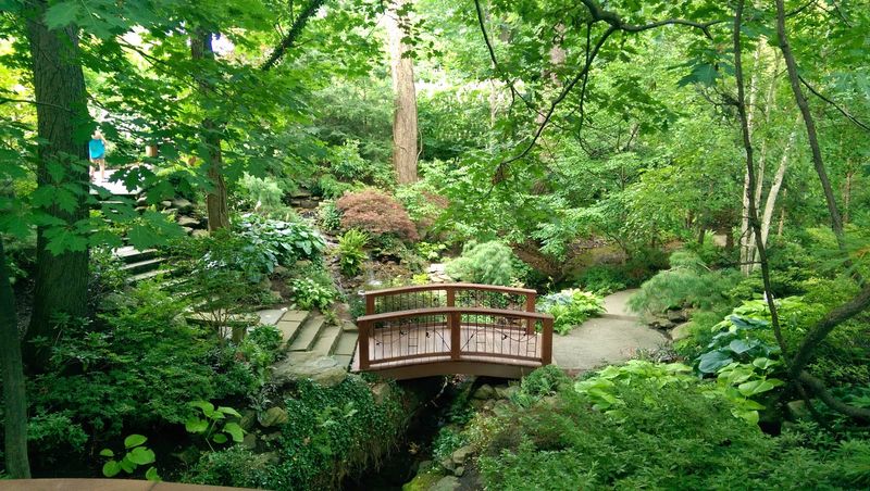 Cleveland Botanical Garden Brings Summer Color Cleveland Botanical Garden Brings Summer Color