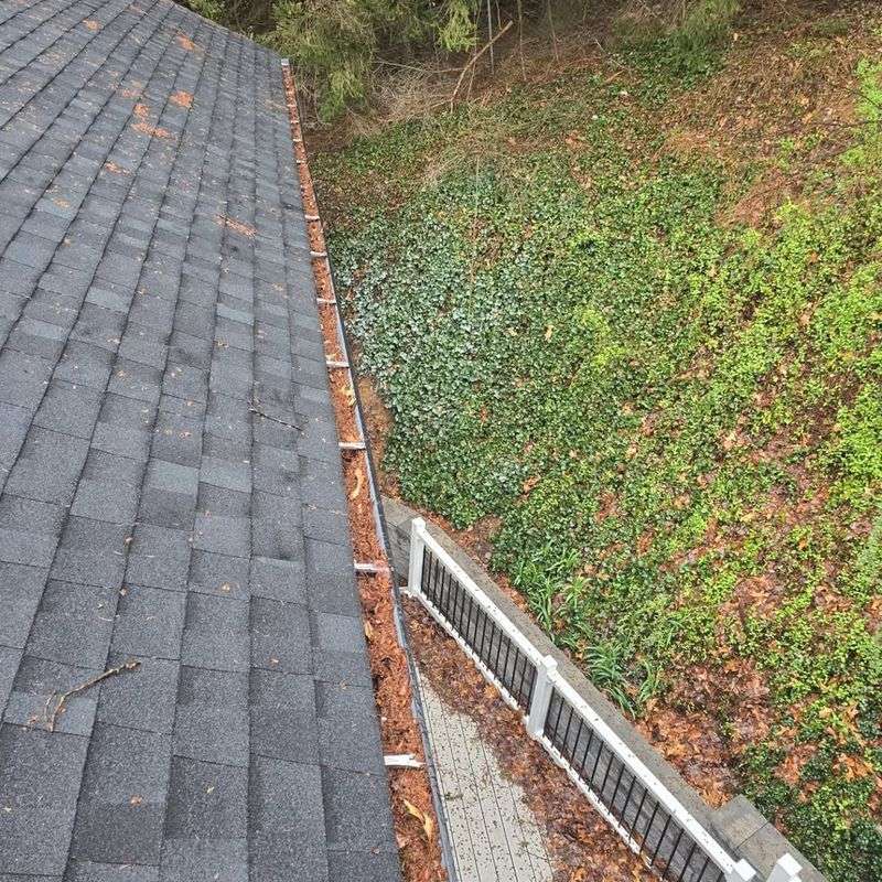 Clogged Gutters Where Moisture Pools After Storms Clogged Gutters Where Moisture Pools After Storms
