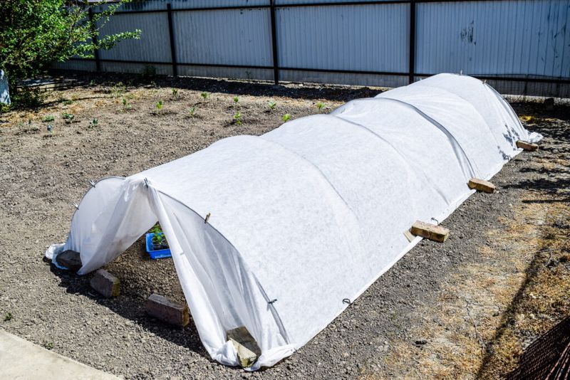 Clothespins Or Clips For Row Covers