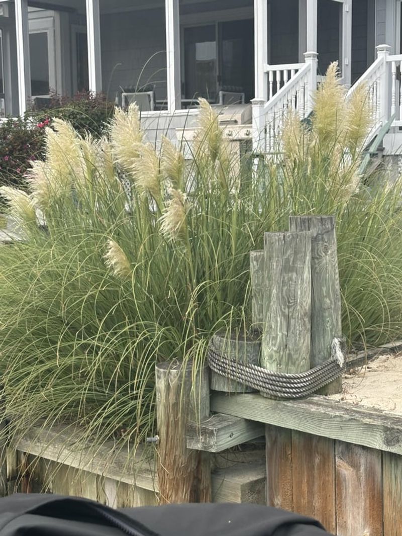 Coastal Oregon Gardens Are Especially At Risk