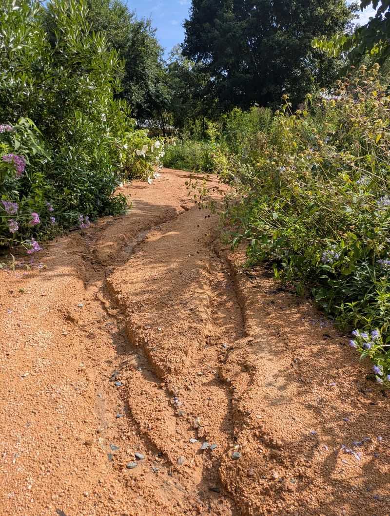 Coastal Plain Soils Are Often Sandy And Fast Draining Coastal Plain Soils Are Often Sandy And Fast Draining