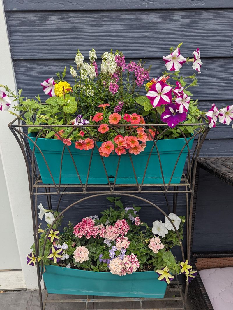 Colorful Containers Let You Adapt The Garden Anytime