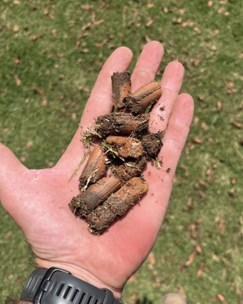 Compacted Soil Keeps Water From Reaching The Roots