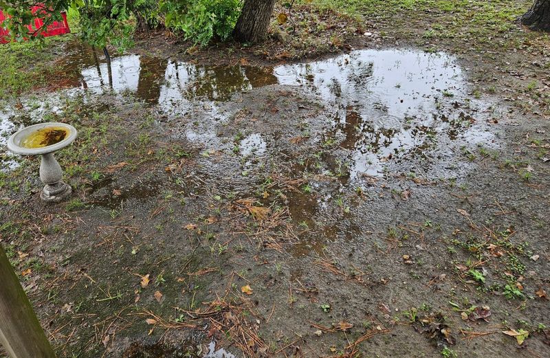 Compacted Soil Keeps Water On Top