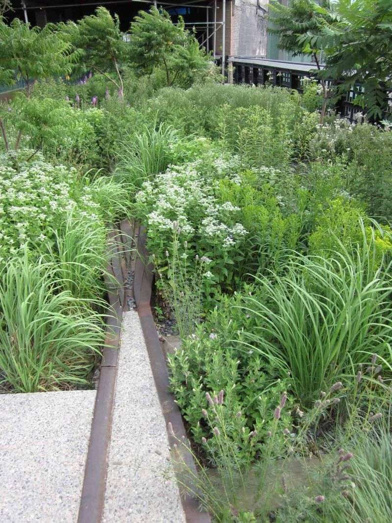 Companion Planting Combinations That Elevate Your Garden Companion Planting Combinations That Elevate Your Garden