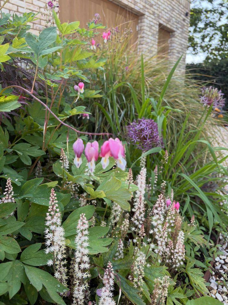 Companion Planting That Elevates Your Entire Garden Companion Planting That Elevates Your Entire Garden