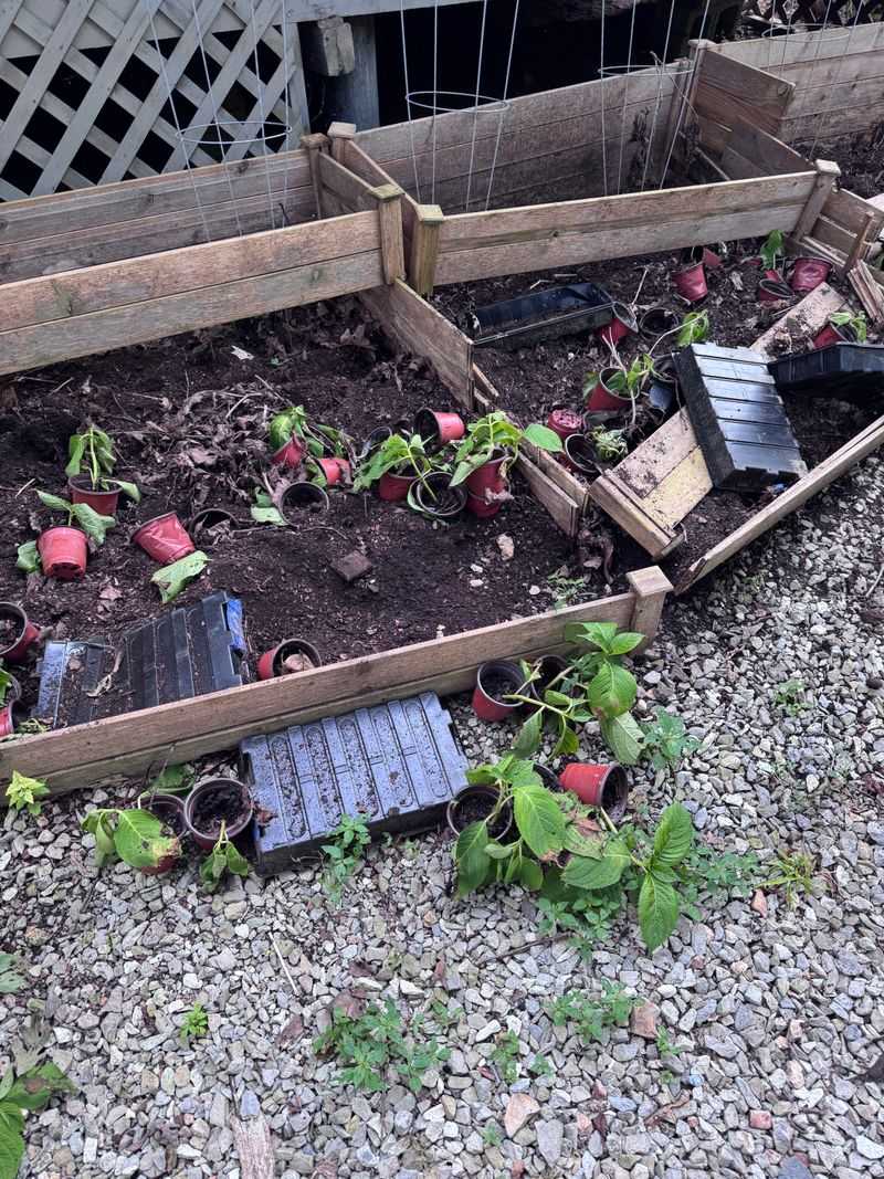 Compost Areas Smell Like Opportunity Compost Areas Smell Like Opportunity