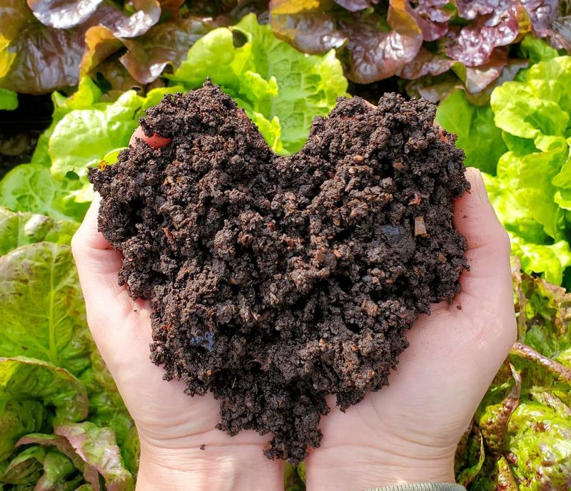 Compost Improves The Root Zone Watering Cannot Reach