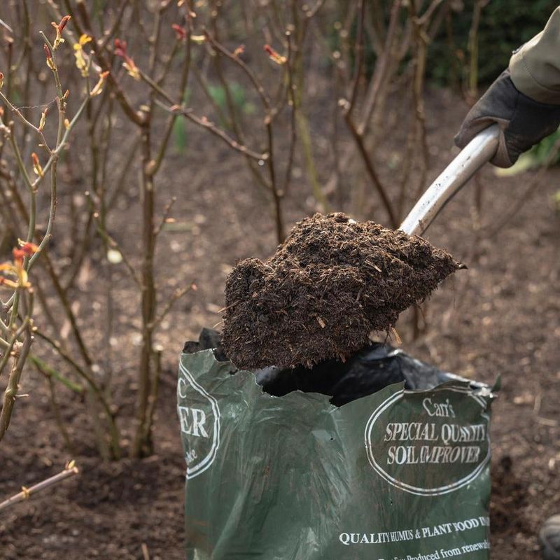 Compost Supports Soil More Than Instant Blooms