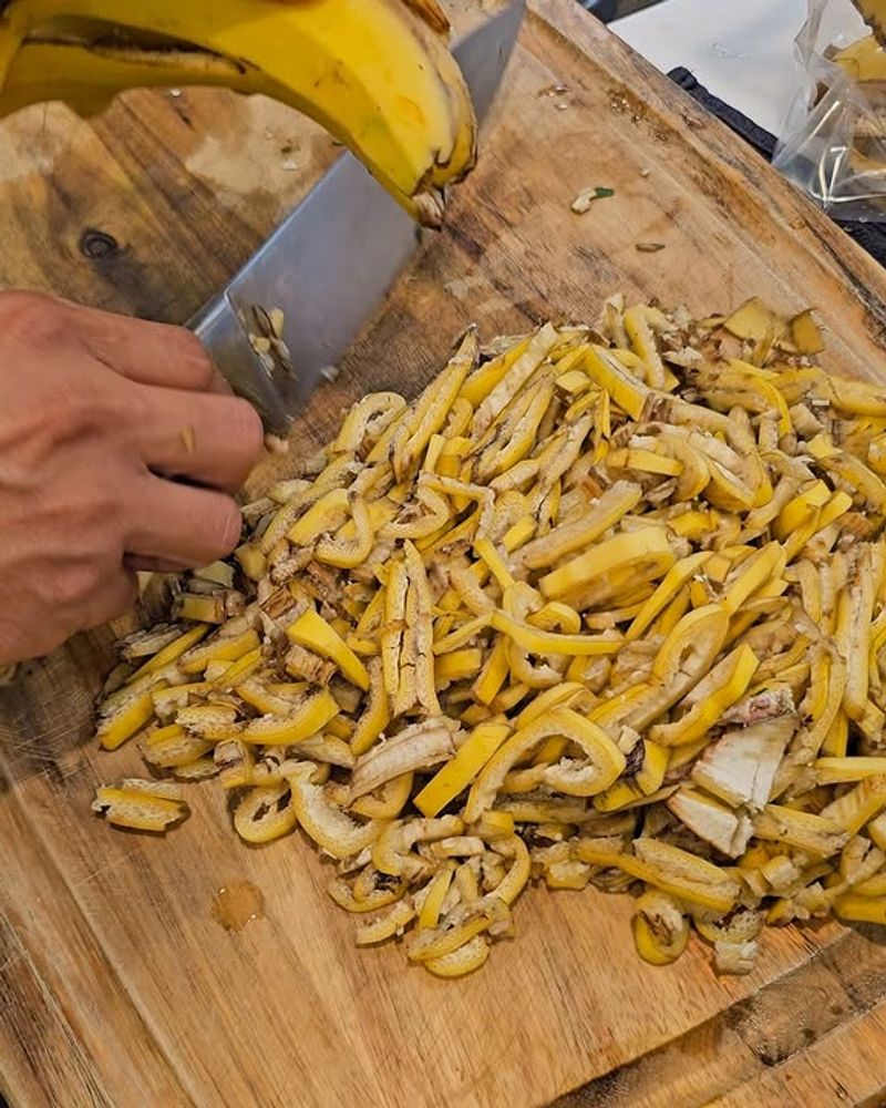 Compost Turns Peels Into Real Plant Food