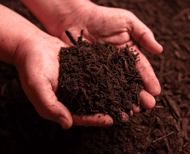 Composted Wood Chips Are A Lower-Risk Organic Option