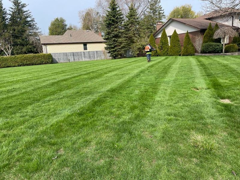 Consistent Moisture Supports Long-Term Lawn Health Consistent Moisture Supports Long-Term Lawn Health
