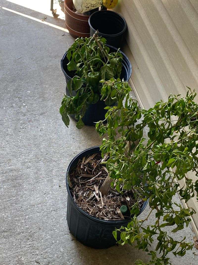 Containers Heat Up Fast