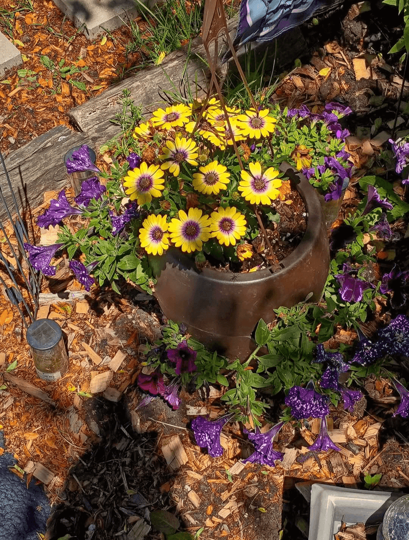 Containers Heat Up Quickly