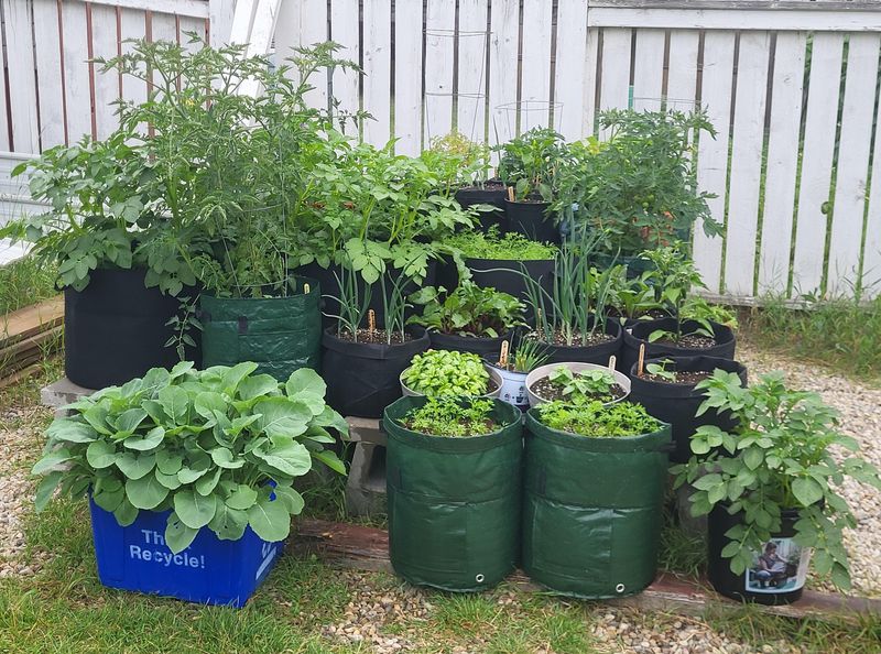 Containers Need Daily Attention