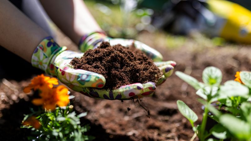 Continue Building Soil Through The Summer