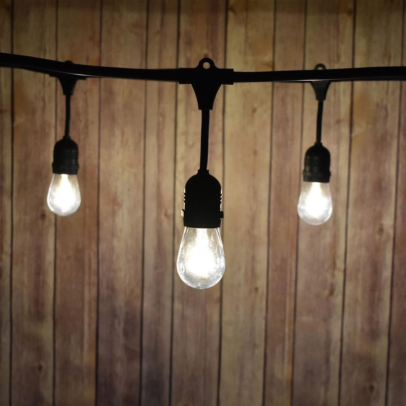 Cool White Bulbs Can Be More Disruptive Cool White Bulbs Can Be More Disruptive